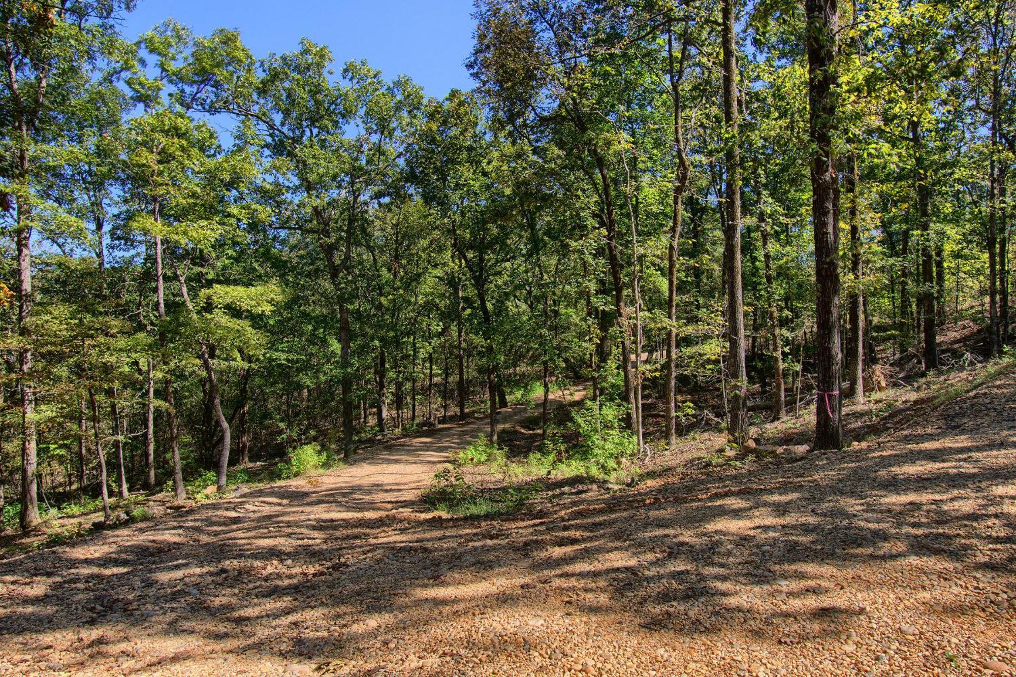 The Americana - Parker Creek Bend Cabins 默弗里斯伯勒 外观 照片